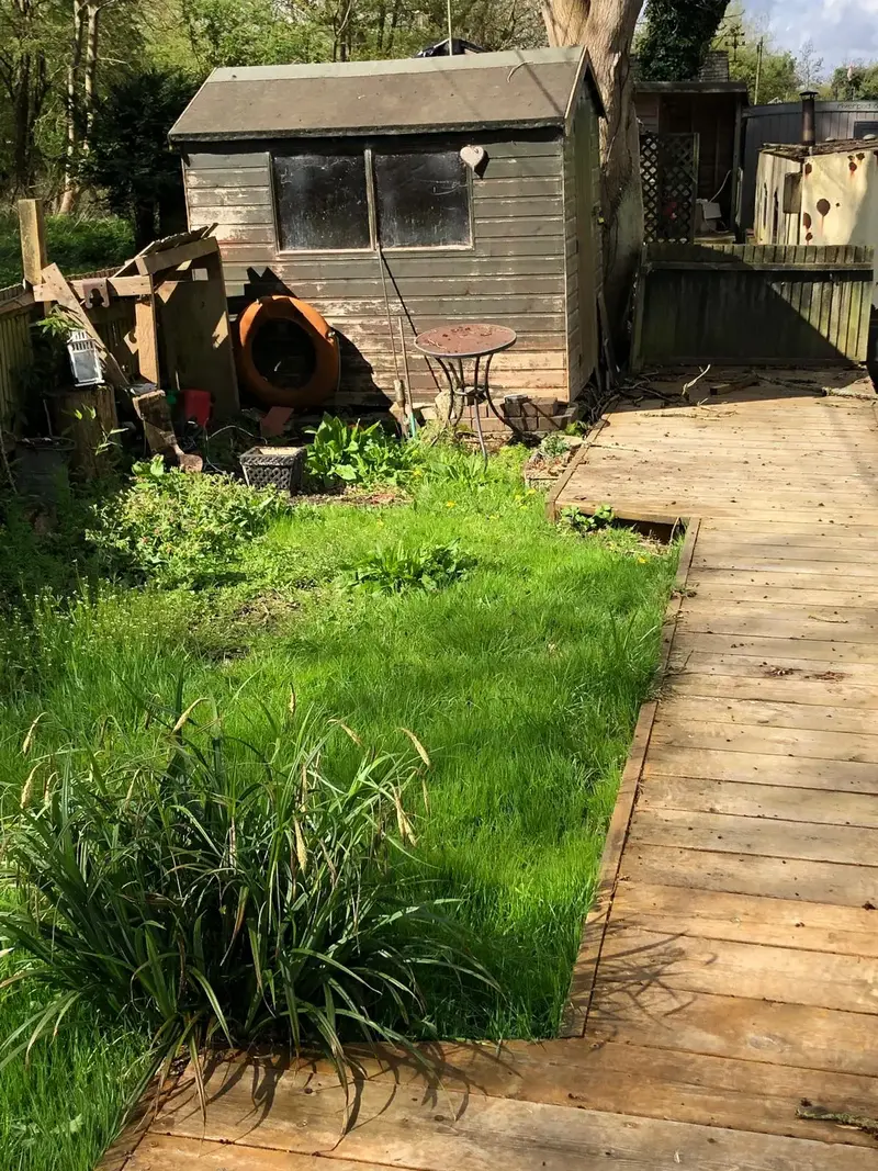 Garden plot with a timber boardwalk leading to the shed