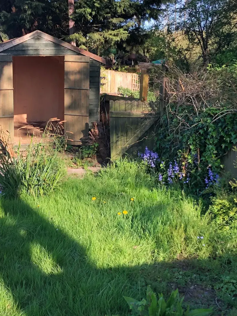 Mooring 33 garden and shed in evening light